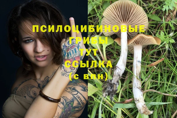 соль курить ск Белоозёрский