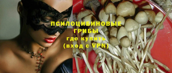 круглые Белокуриха