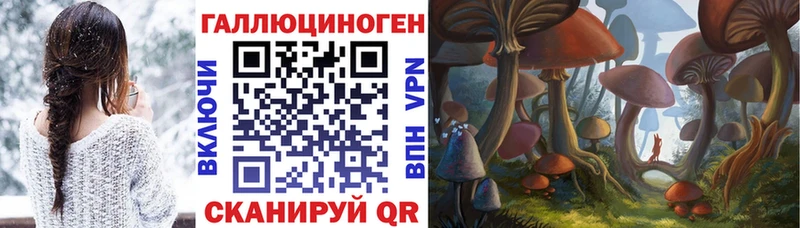 где продают наркотики  Семикаракорск  Псилоцибиновые грибы Psilocybine cubensis 